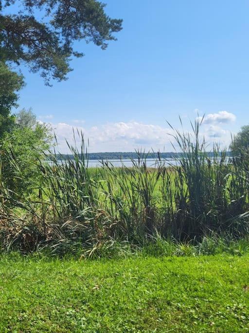 L'Oree Des Lacs, Maison De Village Tout Confort Radonvilliers Eksteriør bilde